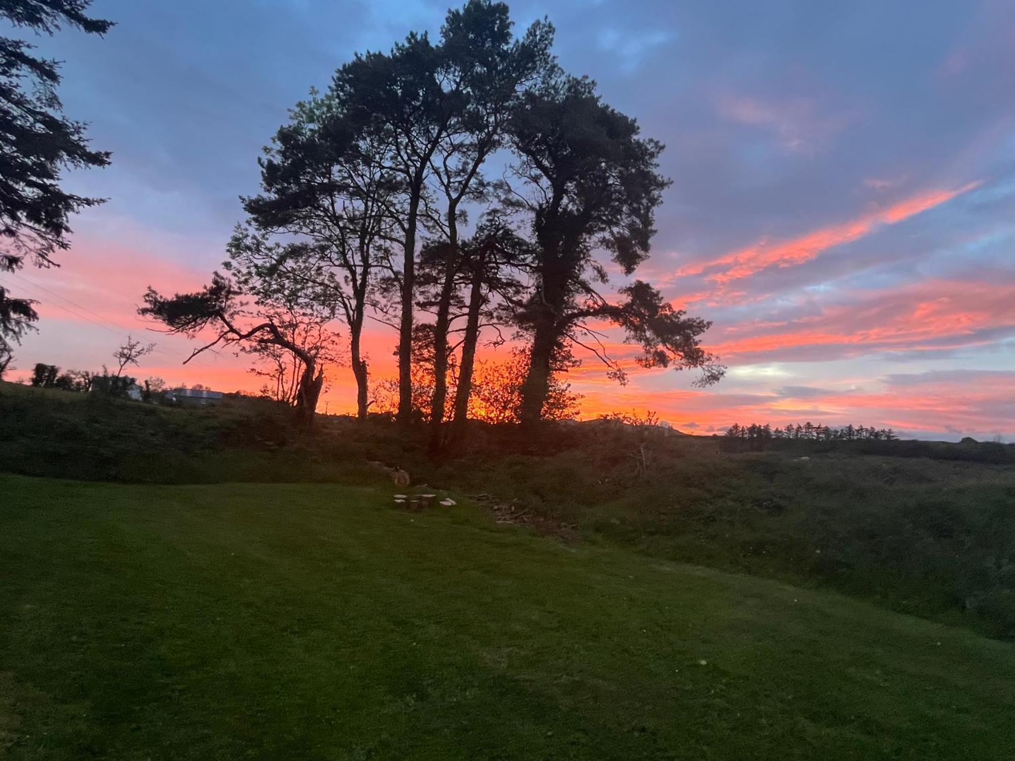 Daffodil Lodge Sligo Eksteriør billede